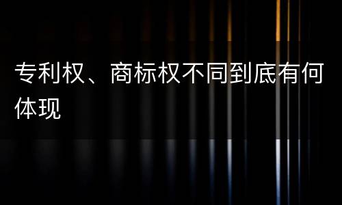 专利权、商标权不同到底有何体现