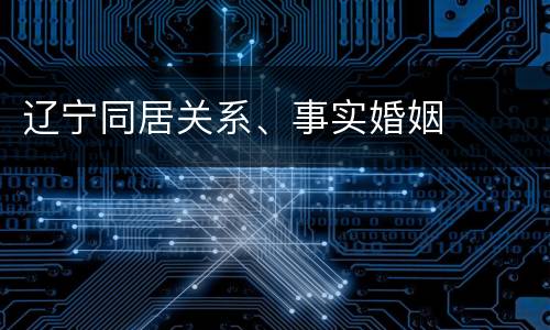 辽宁同居关系、事实婚姻