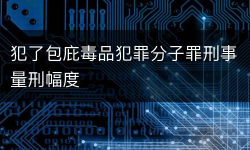 犯了包庇毒品犯罪分子罪刑事量刑幅度