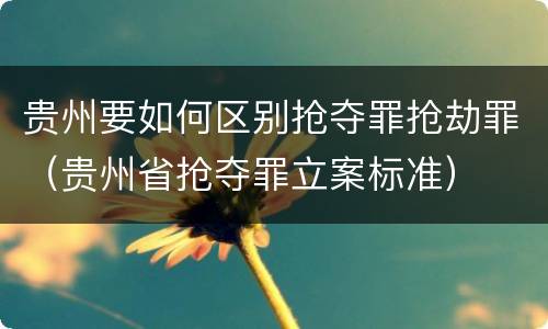 贵州要如何区别抢夺罪抢劫罪（贵州省抢夺罪立案标准）