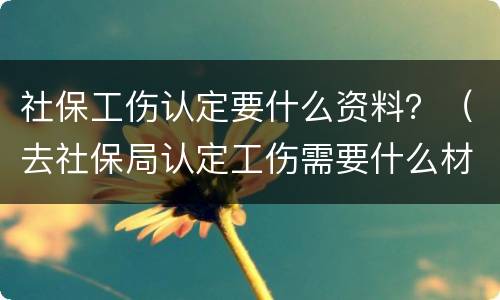 社保工伤认定要什么资料？（去社保局认定工伤需要什么材料）