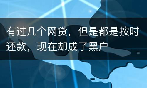 有过几个网贷，但是都是按时还款，现在却成了黑户