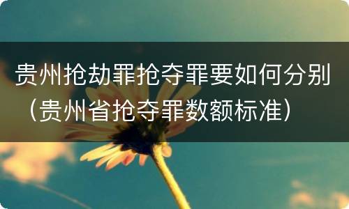 贵州抢劫罪抢夺罪要如何分别（贵州省抢夺罪数额标准）