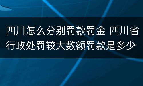 四川怎么分别罚款罚金 四川省行政处罚较大数额罚款是多少