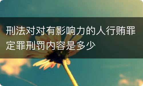 刑法对对有影响力的人行贿罪定罪刑罚内容是多少