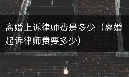 离婚上诉律师费是多少（离婚起诉律师费要多少）
