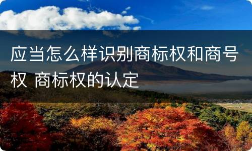 应当怎么样识别商标权和商号权 商标权的认定