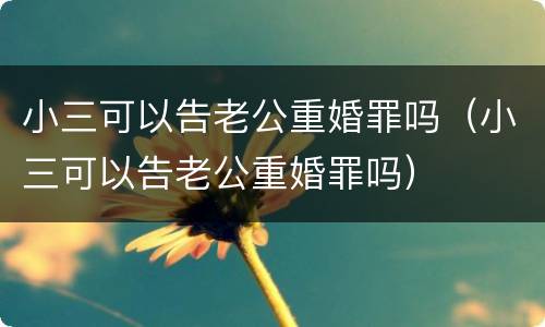 小三可以告老公重婚罪吗（小三可以告老公重婚罪吗）