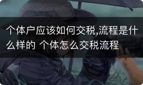 个体户应该如何交税,流程是什么样的 个体怎么交税流程