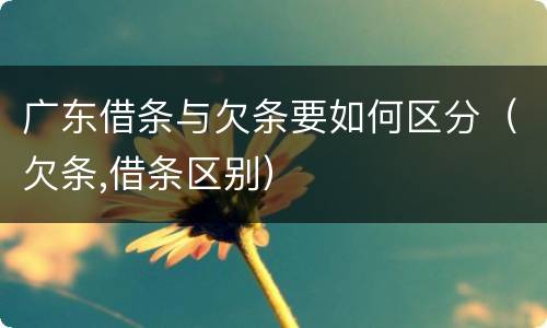 广东借条与欠条要如何区分（欠条,借条区别）