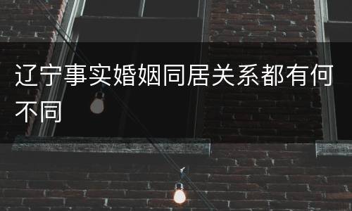 辽宁事实婚姻同居关系都有何不同