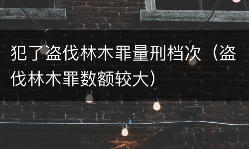 犯了盗伐林木罪量刑档次（盗伐林木罪数额较大）