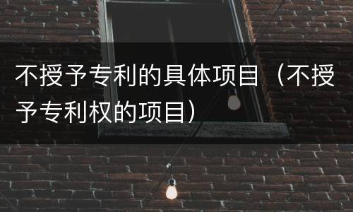 不授予专利的具体项目（不授予专利权的项目）