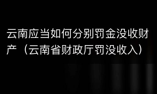 云南应当如何分别罚金没收财产(云南省财政厅罚没收入)