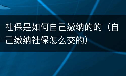 社保是如何自己缴纳的的（自己缴纳社保怎么交的）