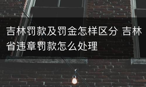 吉林罚款及罚金怎样区分 吉林省违章罚款怎么处理