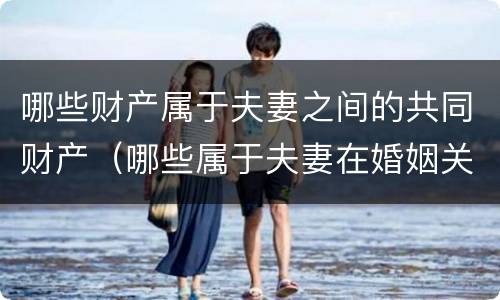 哪些财产属于夫妻之间的共同财产（哪些属于夫妻在婚姻关系中的共同财产）