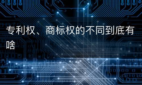 专利权、商标权的不同到底有啥