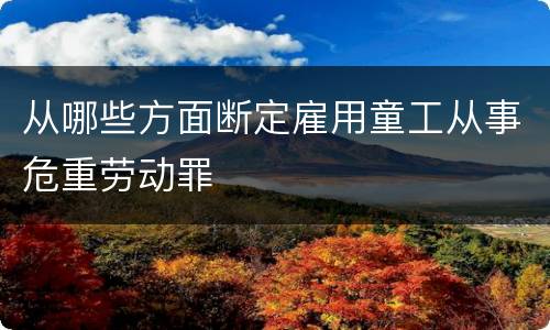 从哪些方面断定雇用童工从事危重劳动罪
