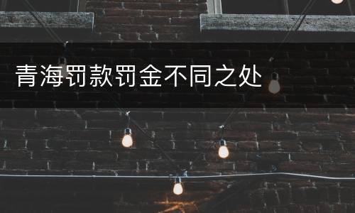 青海罚款罚金不同之处