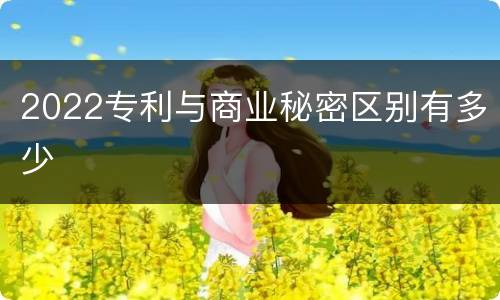 2022专利与商业秘密区别有多少