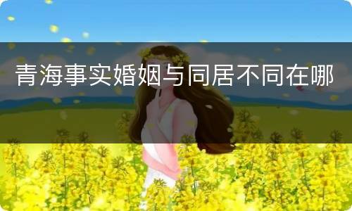 青海事实婚姻与同居不同在哪