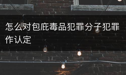 怎么对包庇毒品犯罪分子犯罪作认定
