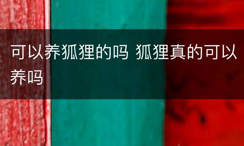 可以养狐狸的吗 狐狸真的可以养吗