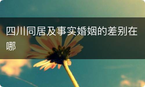 四川同居及事实婚姻的差别在哪