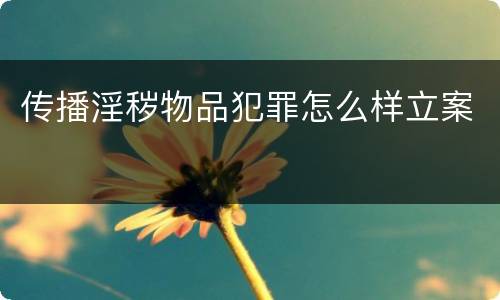 传播淫秽物品犯罪怎么样立案