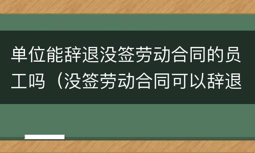 单位能辞退没签劳动合同的员工吗（没签劳动合同可以辞退员工吗）