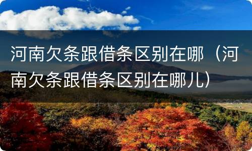 河南欠条跟借条区别在哪（河南欠条跟借条区别在哪儿）