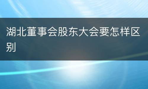 湖北董事会股东大会要怎样区别