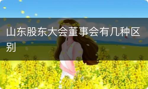 山东股东大会董事会有几种区别