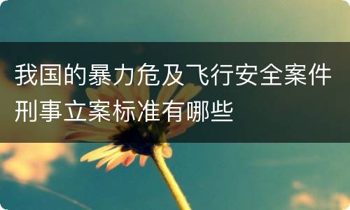 我国的暴力危及飞行安全案件刑事立案标准有哪些