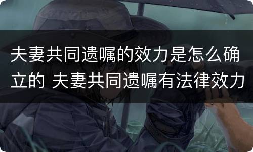 夫妻共同遗嘱的效力是怎么确立的 夫妻共同遗嘱有法律效力吗