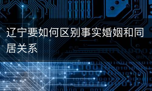 辽宁要如何区别事实婚姻和同居关系