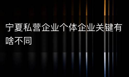宁夏私营企业个体企业关键有啥不同