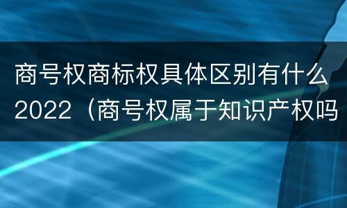 商号权商标权具体区别有什么2022（商号权属于知识产权吗）