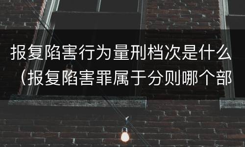 报复陷害行为量刑档次是什么（报复陷害罪属于分则哪个部分）