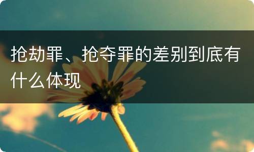 抢劫罪、抢夺罪的差别到底有什么体现