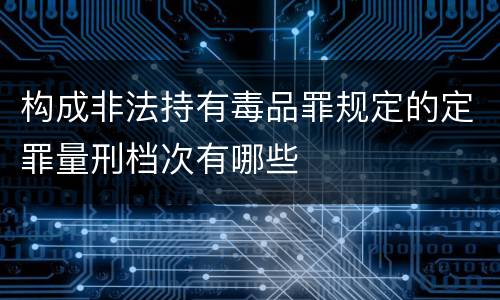 构成非法持有毒品罪规定的定罪量刑档次有哪些
