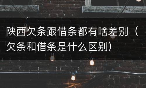 陕西欠条跟借条都有啥差别（欠条和借条是什么区别）