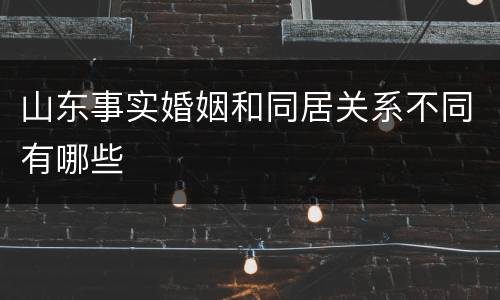 山东事实婚姻和同居关系不同有哪些
