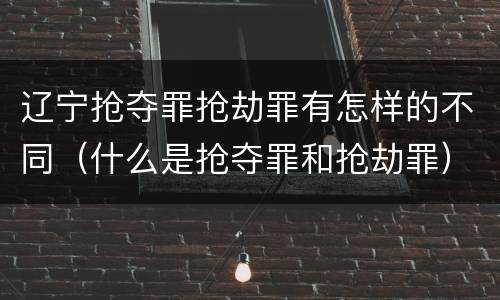 辽宁抢夺罪抢劫罪有怎样的不同（什么是抢夺罪和抢劫罪）