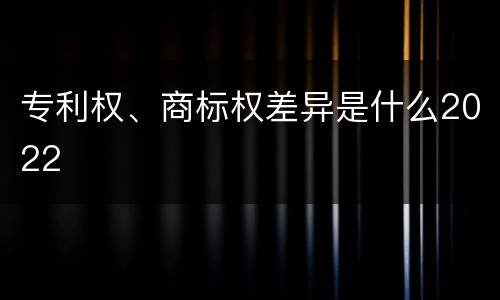 专利权、商标权差异是什么2022