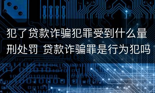 犯了贷款诈骗犯罪受到什么量刑处罚 贷款诈骗罪是行为犯吗