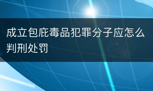 成立包庇毒品犯罪分子应怎么判刑处罚