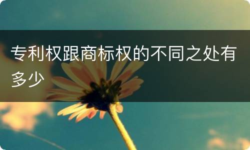 专利权跟商标权的不同之处有多少