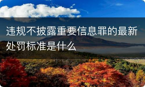 违规不披露重要信息罪的最新处罚标准是什么